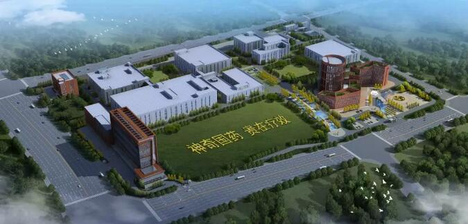 J9九游会AG真人官网大健康医药产业园迎来贵阳市半年经济工作会现场观摩组5.jpg